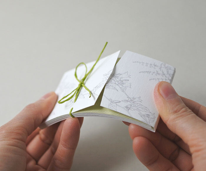 Mocolier簡約風留言卡—初夏野花 (10張)