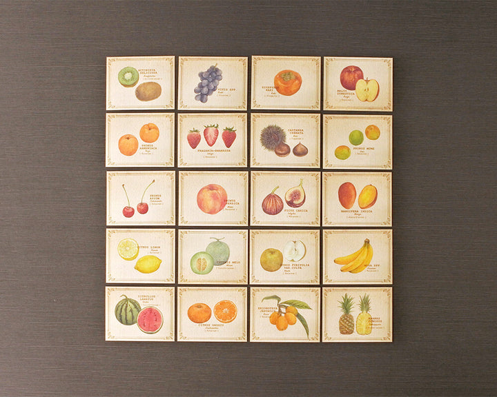 Mocolier圖鑑風留言卡—水果 (小,共20張)