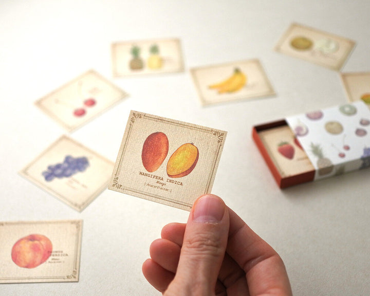 Mocolier圖鑑風留言卡—水果 (小,共20張)