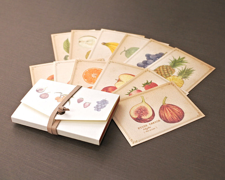 Mocolier圖鑑風留言卡—水果 (大,共12張)