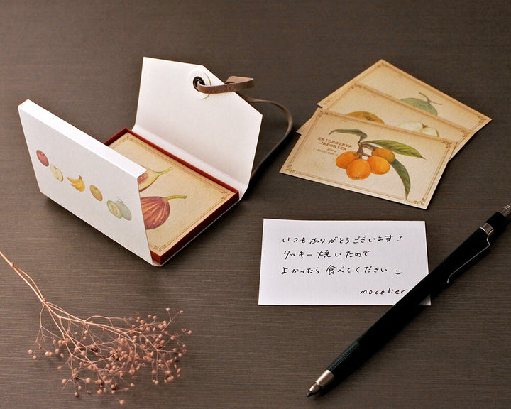 Mocolier圖鑑風留言卡—水果 (大,共12張)