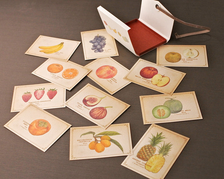Mocolier圖鑑風留言卡—水果 (大,共12張)