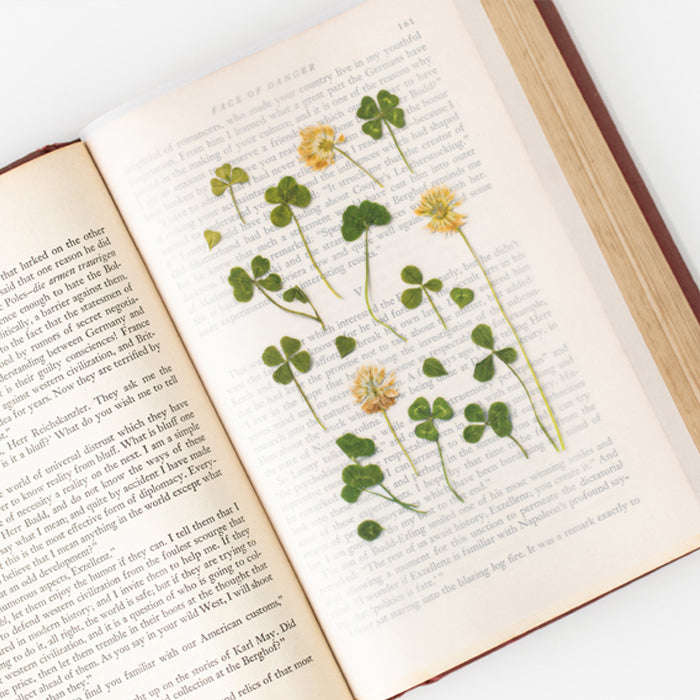 Appree仿真押花貼紙—四葉草