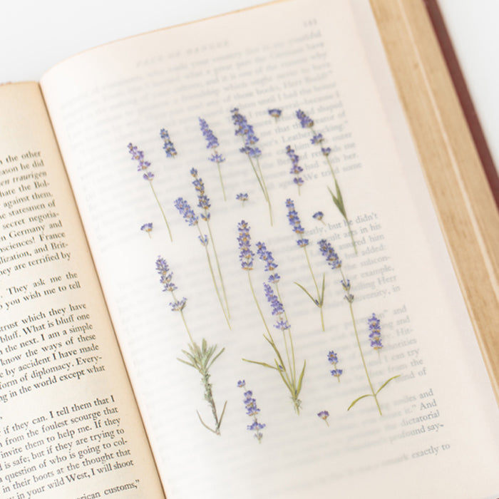 Appree仿真押花貼紙—薰衣草