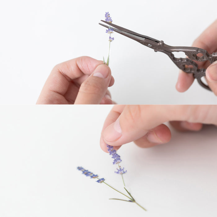 Appree仿真押花貼紙—薰衣草