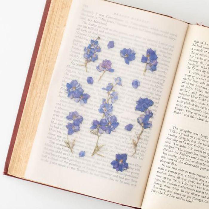 Appree仿真押花貼紙—飛燕草