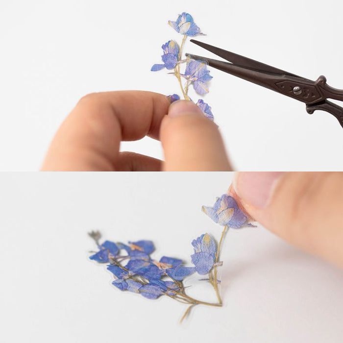 Appree仿真押花貼紙—飛燕草