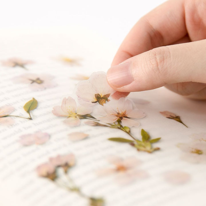 Appree仿真押花貼紙—櫻花