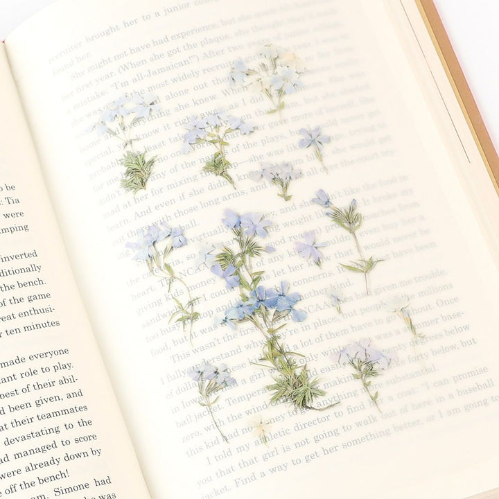 Appree仿真押花貼紙—針葉天藍繡球