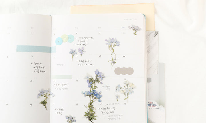 Appree仿真押花貼紙—針葉天藍繡球