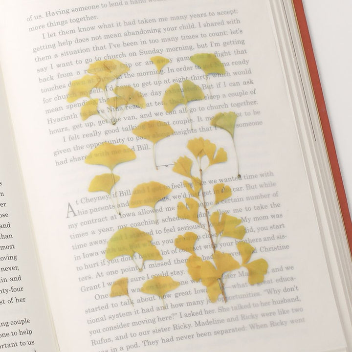 Appree仿真押花貼紙—銀杏