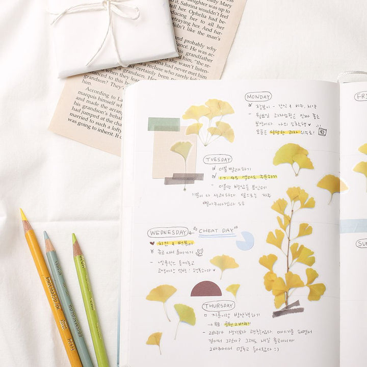 Appree仿真押花貼紙—銀杏