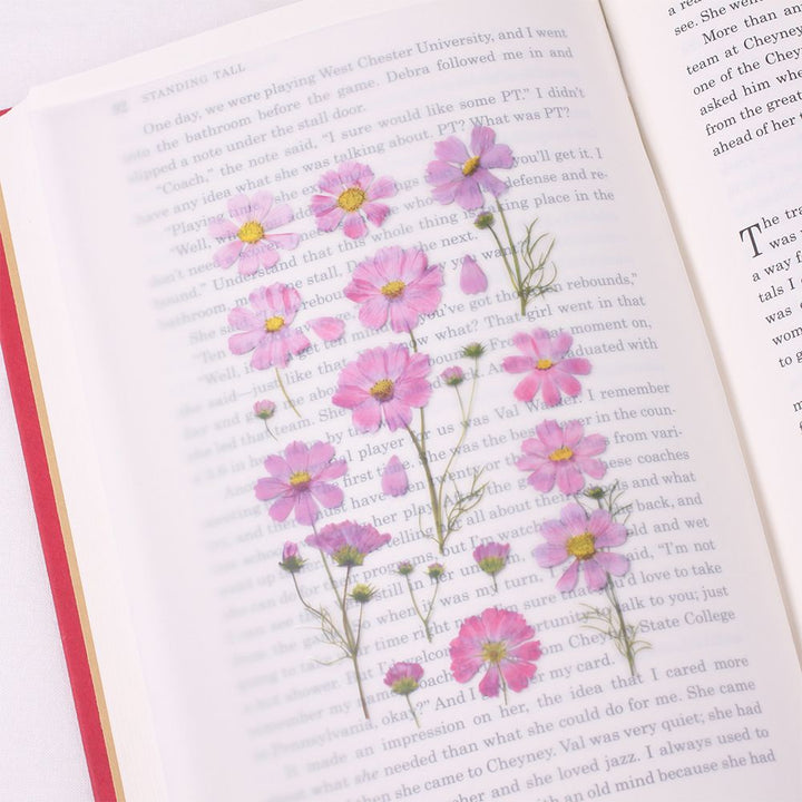 Appree仿真押花貼紙—大波斯菊