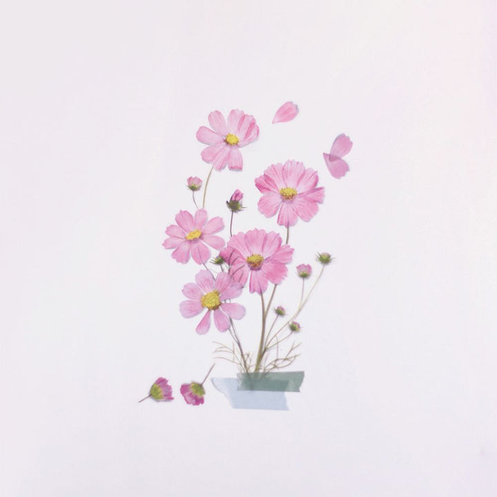 Appree仿真押花貼紙—大波斯菊