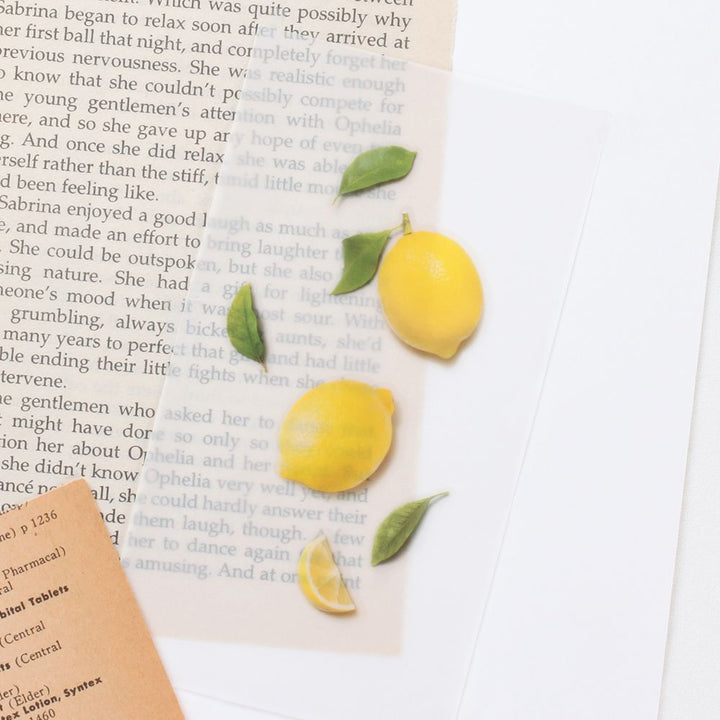 韓國Appree寫實風水果貼紙—檸檬