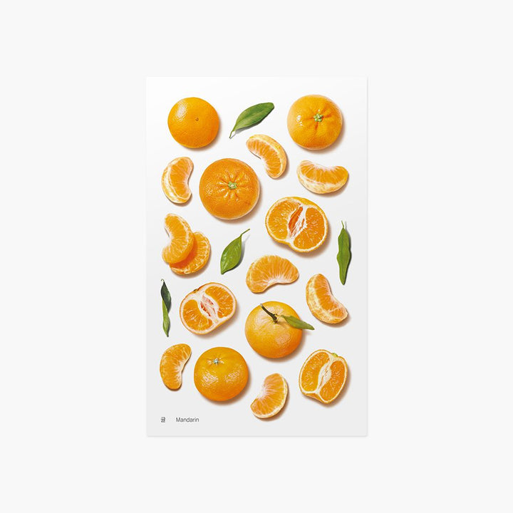 韓國Appree寫實風水果貼紙—柑橘