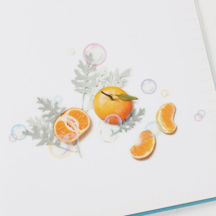 韓國Appree寫實風水果貼紙—柑橘