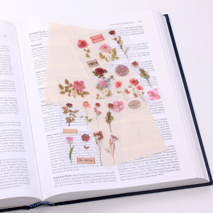 Appree轉印貼紙—Botanical Pink