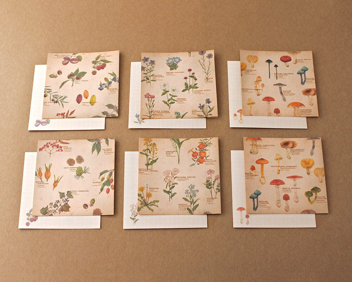 Mocolier便條紙套裝—野花 | 果實 | 蘑菇 (24枚)