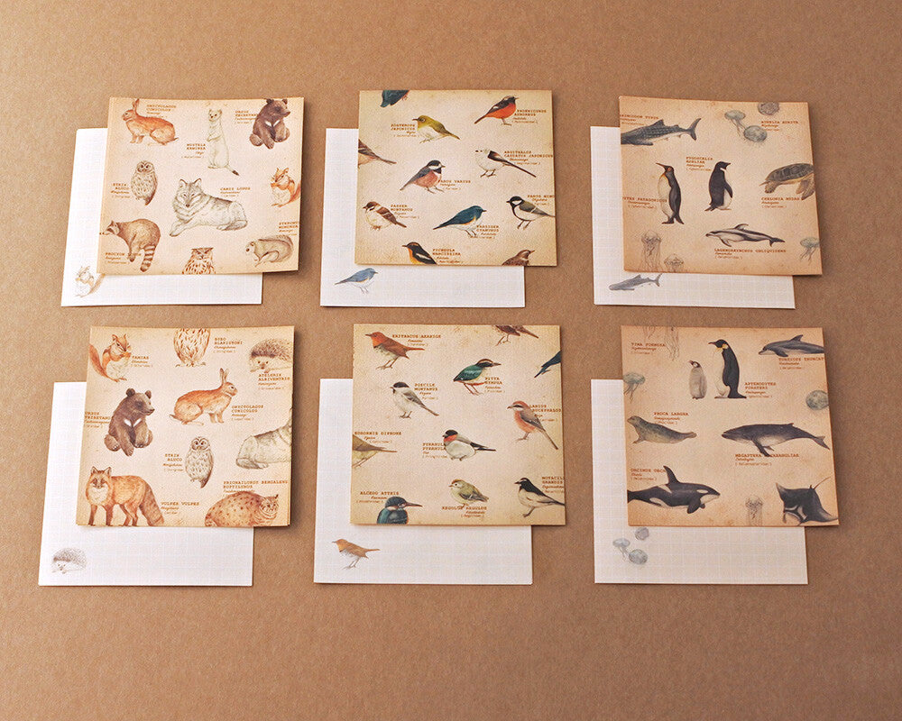 Mocolier便條紙套裝—動物組合 (24枚)