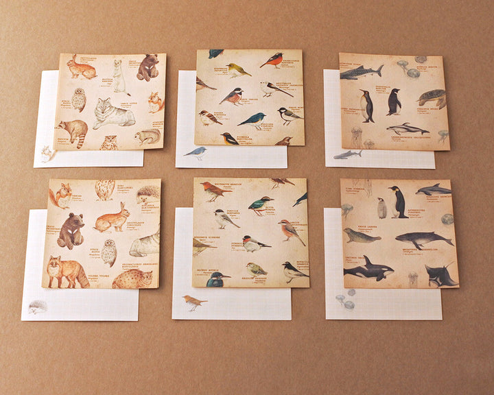 Mocolier便條紙套裝—動物組合 (24枚)