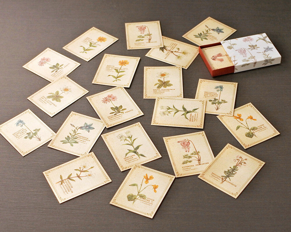 Mocolier圖鑑風留言卡—高山植物 (小,共20張)