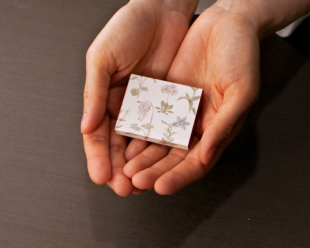 Mocolier圖鑑風留言卡—高山植物 (小,共20張)