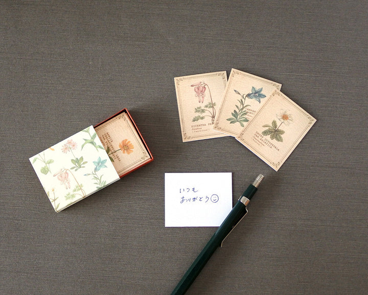 Mocolier圖鑑風留言卡—高山植物 (小,共20張)