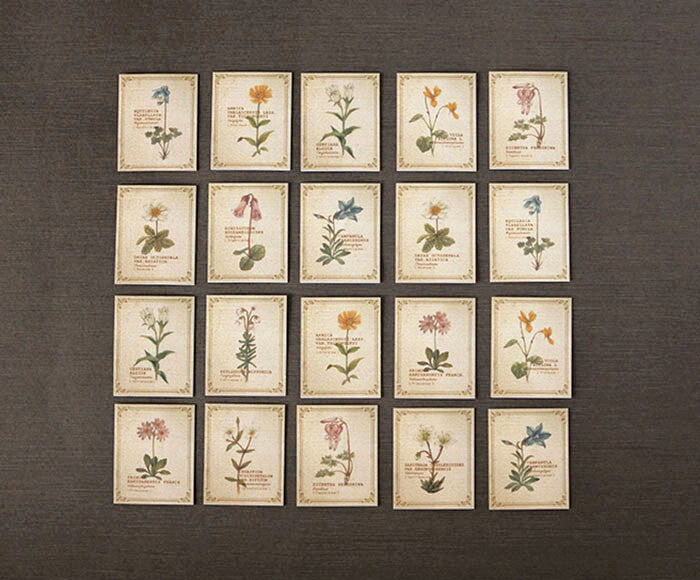 Mocolier圖鑑風留言卡—高山植物 (小,共20張)