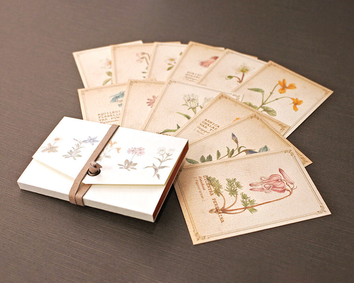 Mocolier圖鑑風留言卡—高山植物 (大,共12張)