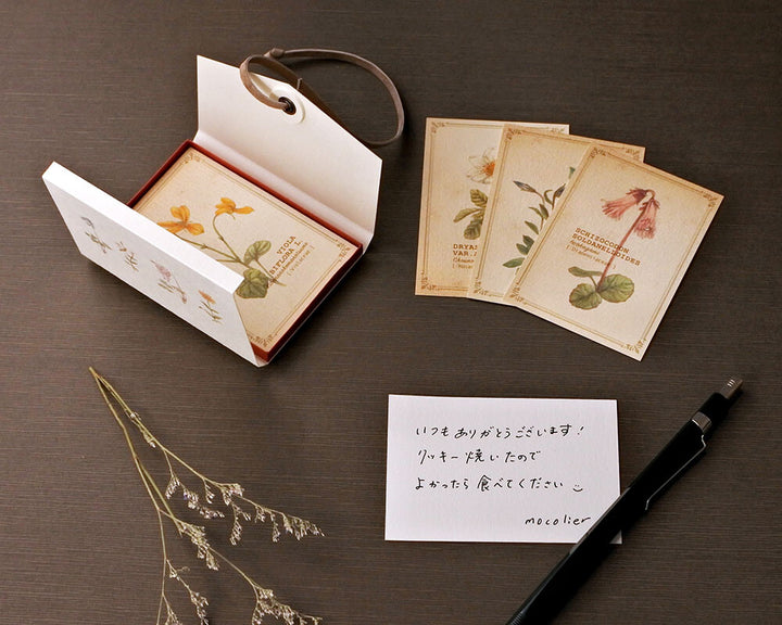 Mocolier圖鑑風留言卡—高山植物 (大,共12張)