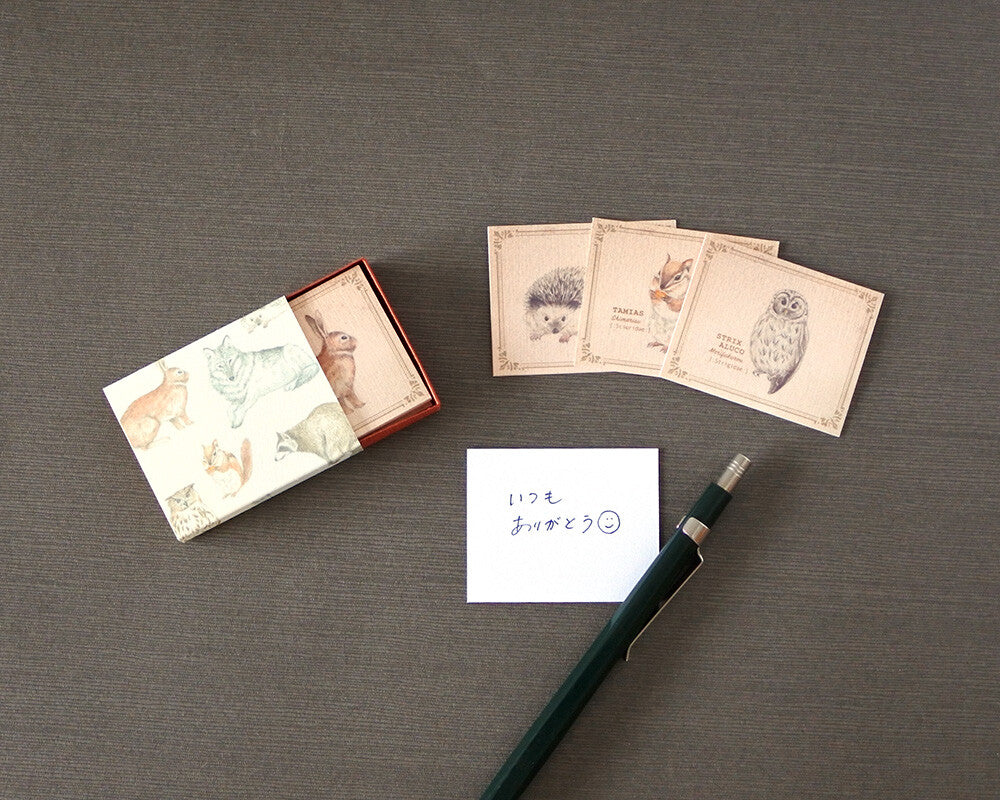 Mocolier圖鑑風留言卡—森林動物 (小,共20張)