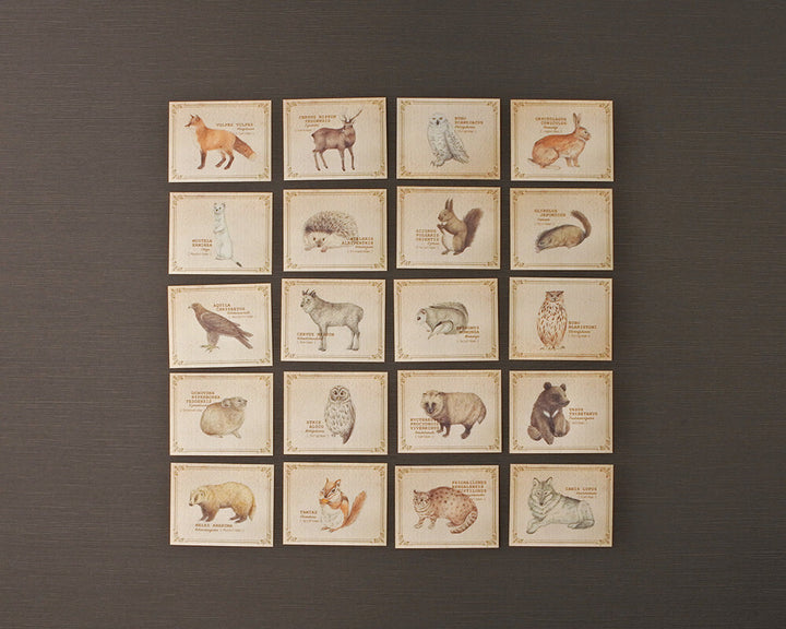 Mocolier圖鑑風留言卡—森林動物 (小,共20張)