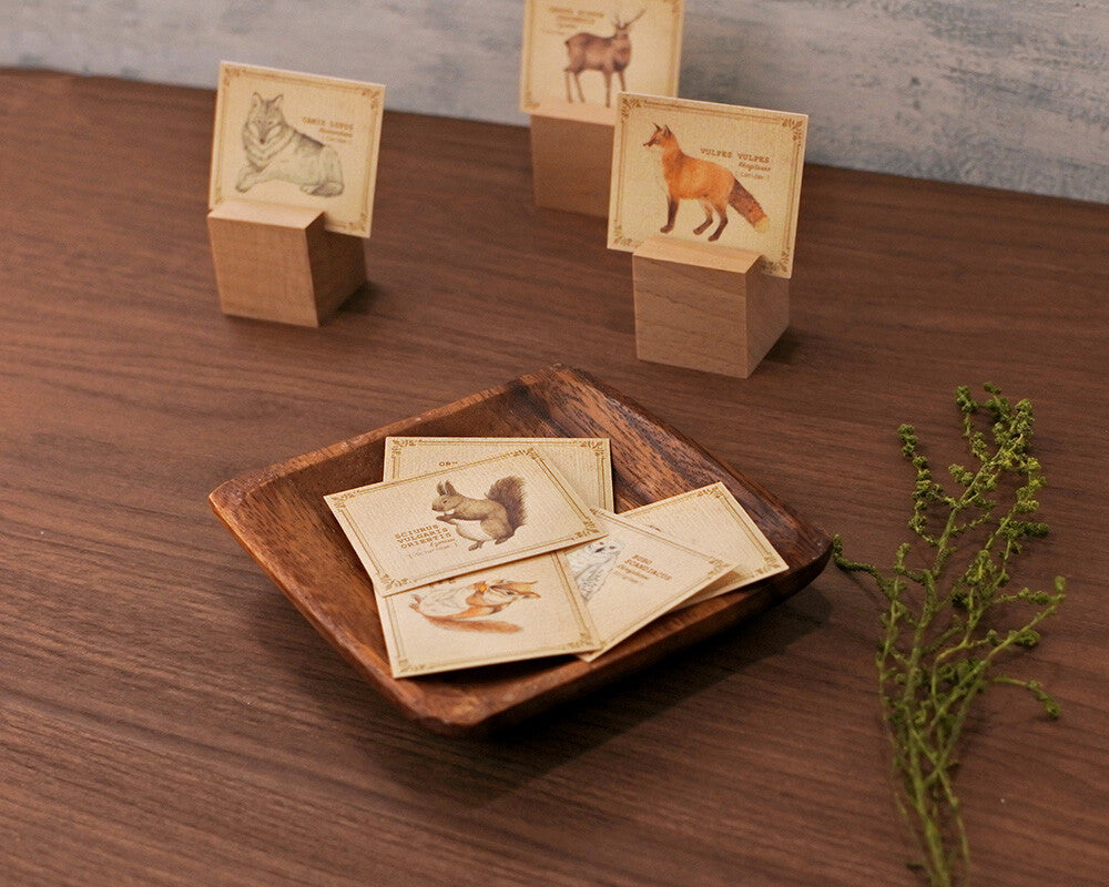 Mocolier圖鑑風留言卡—森林動物 (小,共20張)