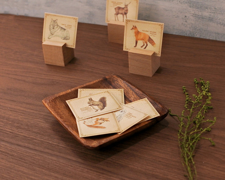 Mocolier圖鑑風留言卡—森林動物 (小,共20張)