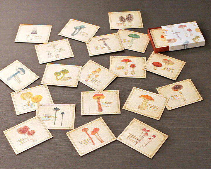 Mocolier圖鑑風留言卡—蘑菇 (小,共20張)