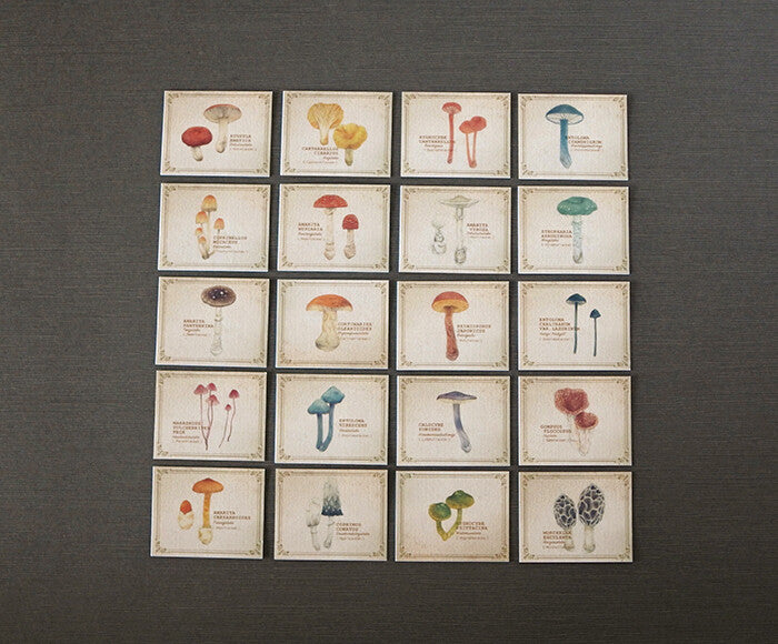 Mocolier圖鑑風留言卡—蘑菇 (小,共20張)