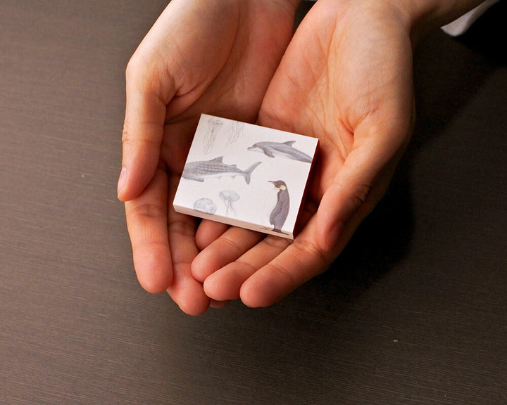 Mocolier圖鑑風留言卡—海洋生物 (小,共20張)