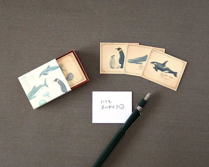 Mocolier圖鑑風留言卡—海洋生物 (小,共20張)