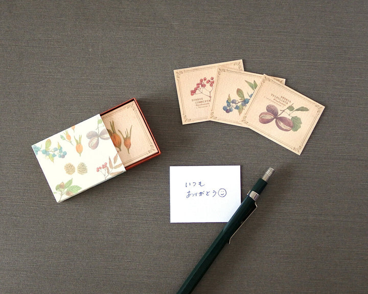 Mocolier圖鑑風留言卡—果實 (小,共20張)