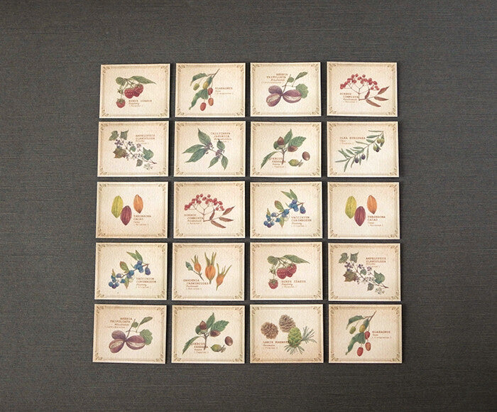 Mocolier圖鑑風留言卡—果實 (小,共20張)