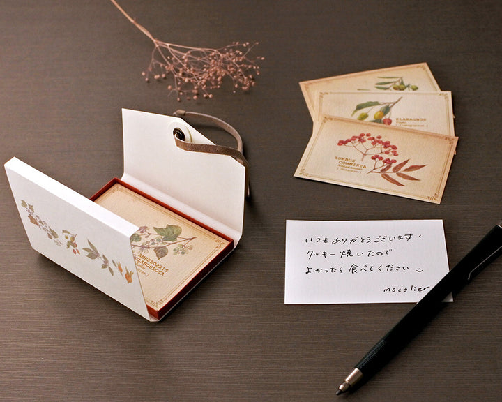 Mocolier圖鑑風留言卡—果實 (大,共12張)