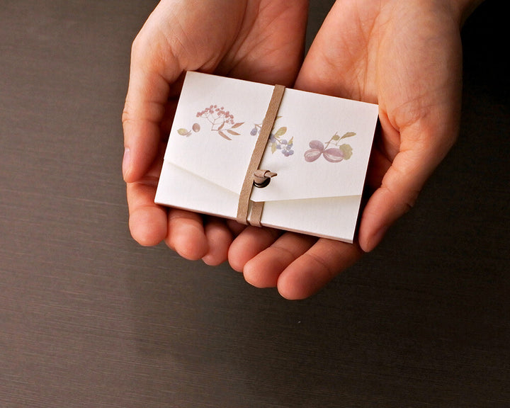 Mocolier圖鑑風留言卡—果實 (大,共12張)