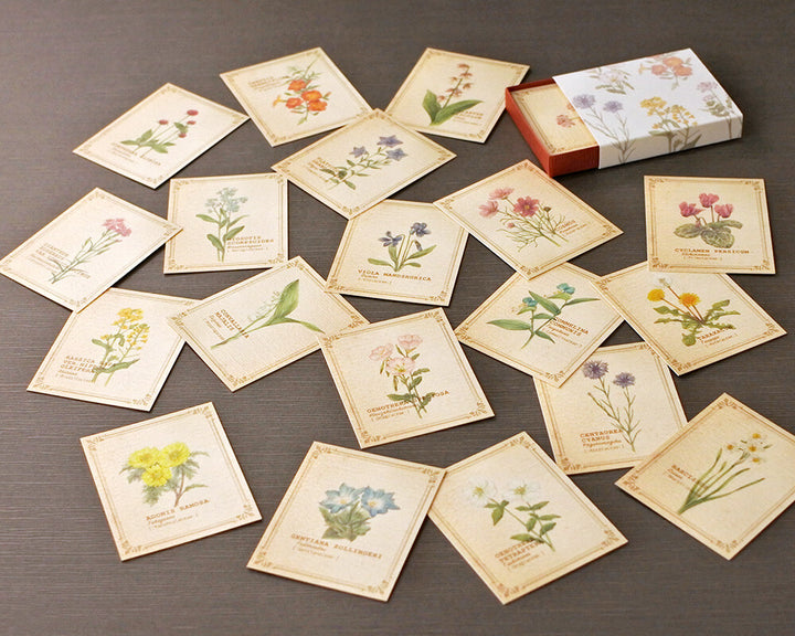 Mocolier圖鑑風留言卡—野花 (小,共20張)