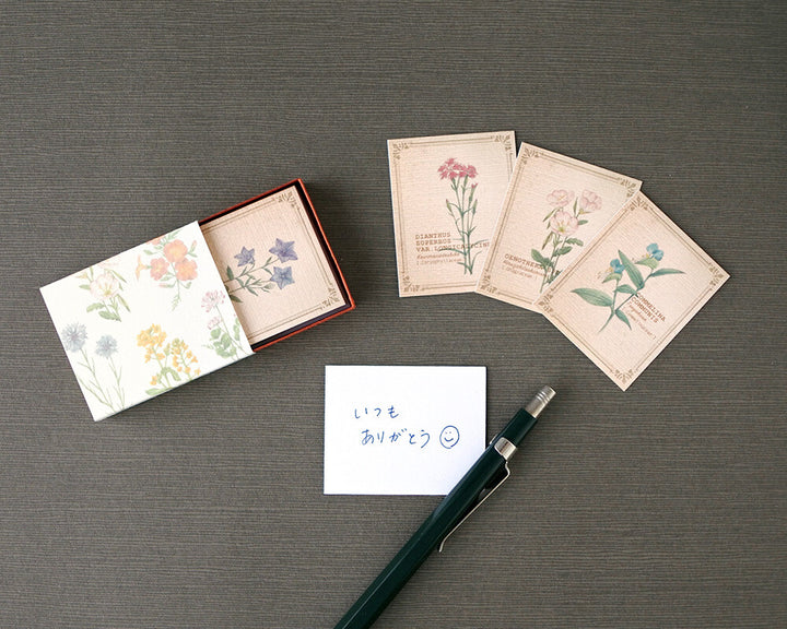 Mocolier圖鑑風留言卡—野花 (小,共20張)