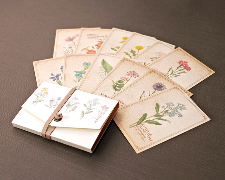 Mocolier圖鑑風留言卡—野花 (大,共12張)