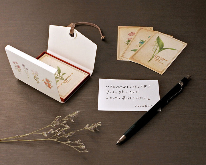 Mocolier圖鑑風留言卡—野花 (大,共12張)