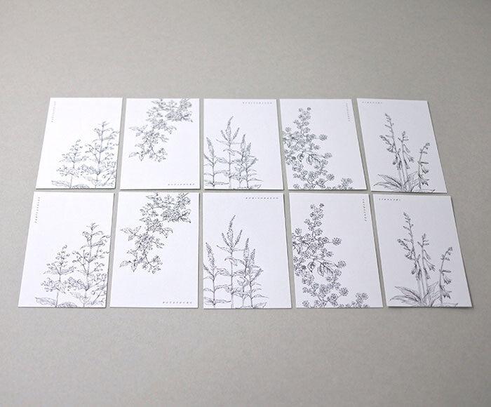 Mocolier簡約風留言卡—夏季野花 (10張)