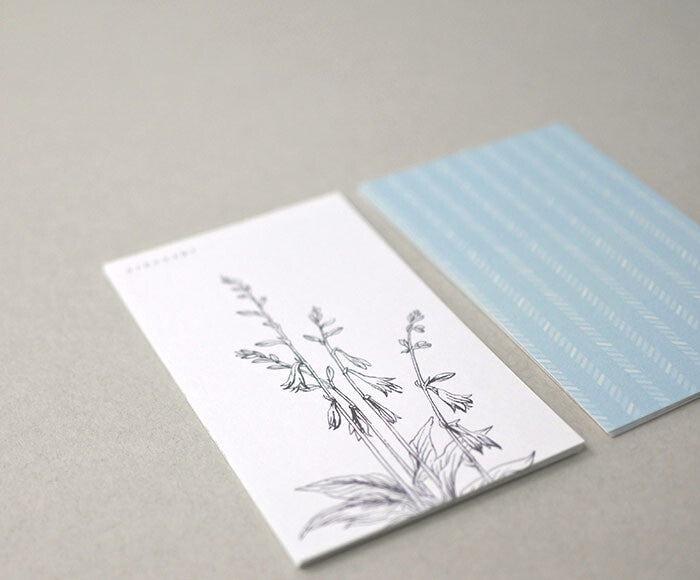 Mocolier簡約風留言卡—夏季野花 (10張)