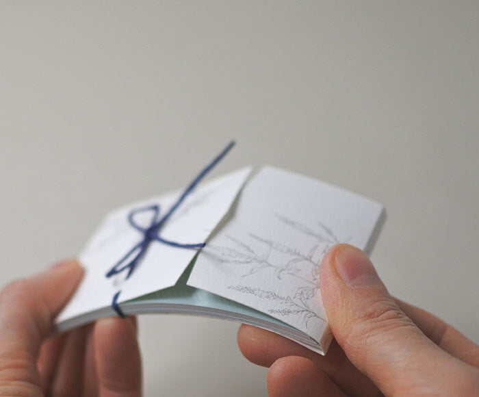 Mocolier簡約風留言卡—夏季野花 (10張)